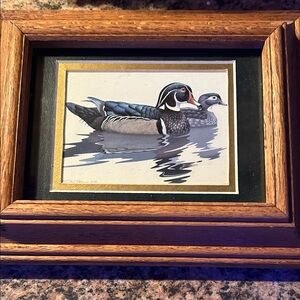 Framed Duck Artwork with Wooden Frame by Richard Saloan 1981